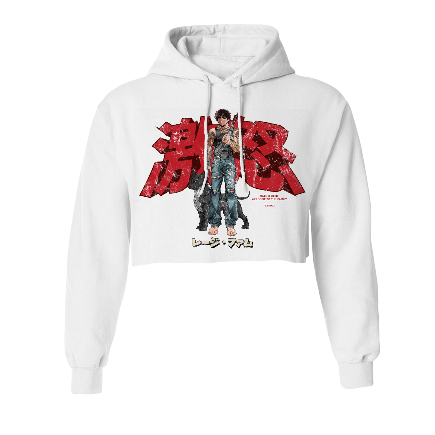 Anime Crop Hoodie