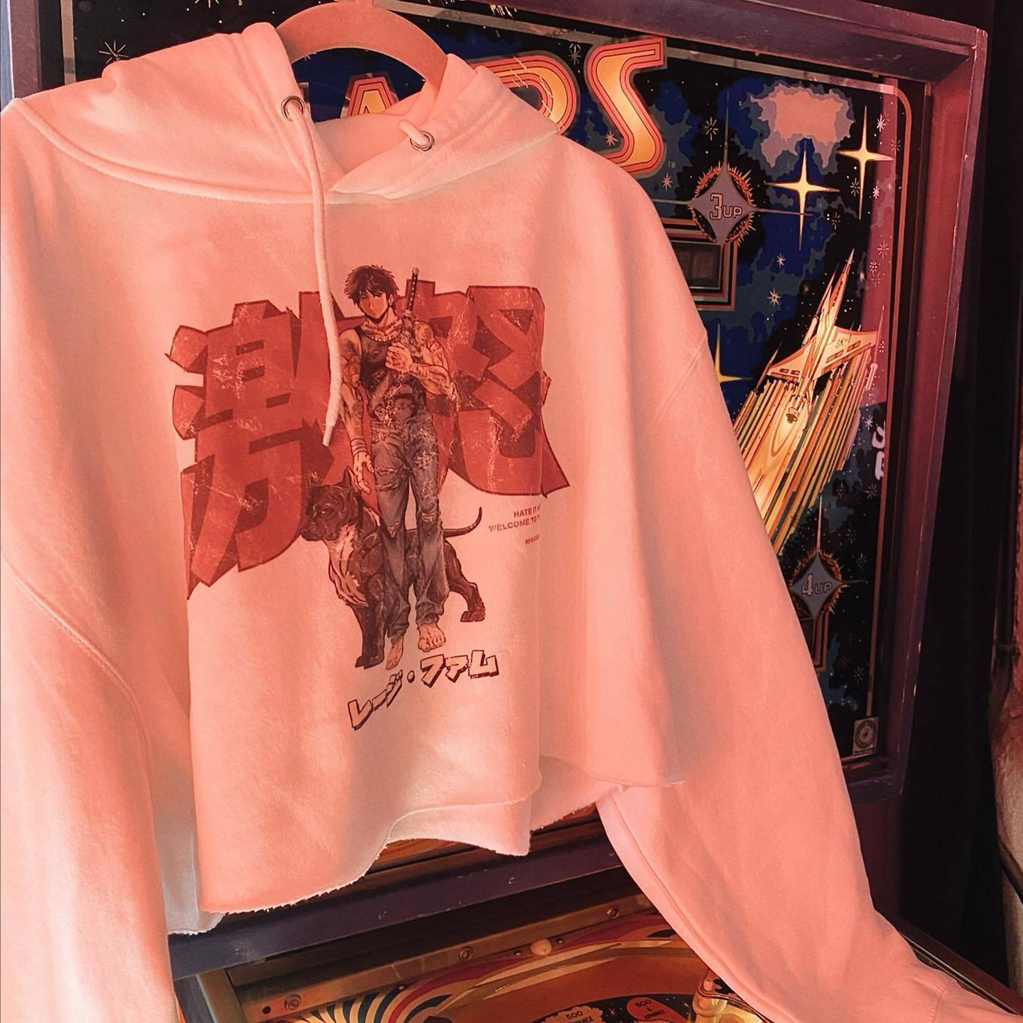 Anime Crop Hoodie